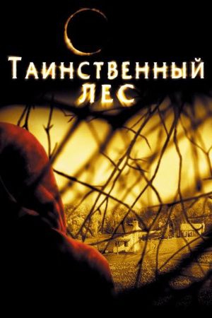 Смотреть фильм Таинственный лес