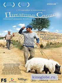  Фильм Перелетные свиньи