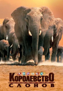  Фильм Discovery. Африка – королевство слонов