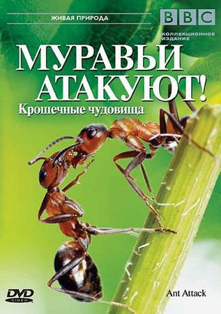 Смотреть фильм BBC: Муравьи атакуют