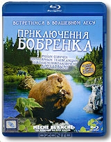 Приключения бобренка