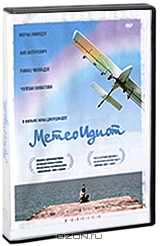 Метеоидиот