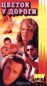 Цветок у дороги