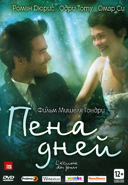 Пена дней