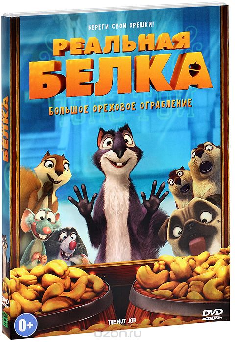 Реальная белка